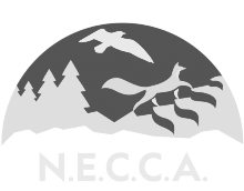 customer necca